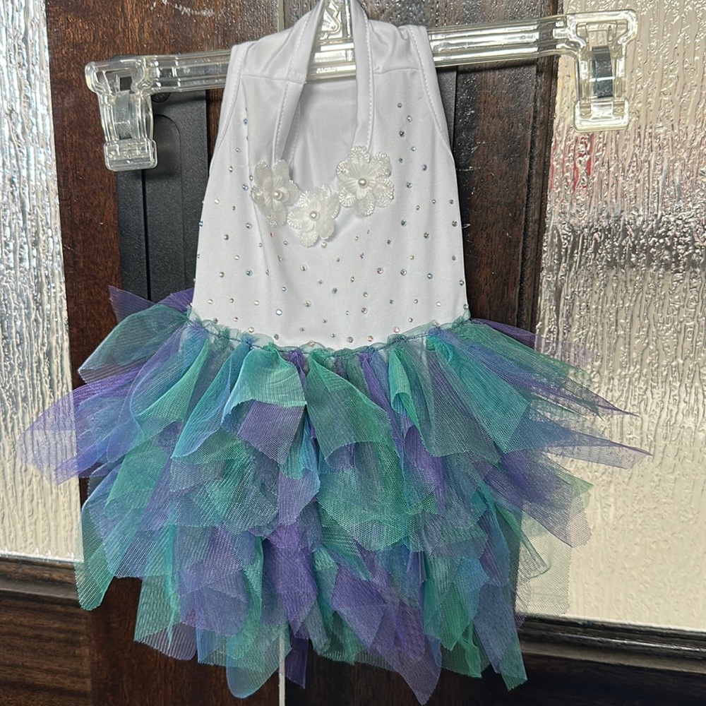 Doggy Dress
